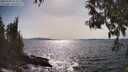 ./images/koeye/fitz-hugh/20250504/fitz-hugh20250504_163011M.jpg