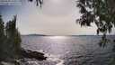 ./images/koeye/fitz-hugh/20250504/fitz-hugh20250504_164010M.jpg
