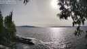 ./images/koeye/fitz-hugh/20250504/fitz-hugh20250504_175010M.jpg