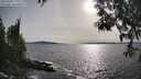 ./images/koeye/fitz-hugh/20250504/fitz-hugh20250504_175510M.jpg
