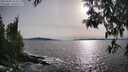 ./images/koeye/fitz-hugh/20250504/fitz-hugh20250504_181010M.jpg