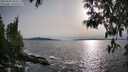 ./images/koeye/fitz-hugh/20250504/fitz-hugh20250504_182510M.jpg
