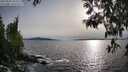 ./images/koeye/fitz-hugh/20250504/fitz-hugh20250504_183510M.jpg
