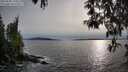 ./images/koeye/fitz-hugh/20250504/fitz-hugh20250504_190009M.jpg