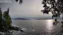 ./images/koeye/fitz-hugh/20250504/fitz-hugh20250504_190508M.jpg