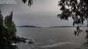 ./images/koeye/fitz-hugh/20250504/fitz-hugh20250504_193509M.jpg