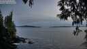 ./images/koeye/fitz-hugh/20250504/fitz-hugh20250504_211008M.jpg