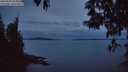 ./images/koeye/fitz-hugh/20250505/fitz-hugh20250505_052009M.jpg