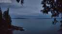 ./images/koeye/fitz-hugh/20250505/fitz-hugh20250505_052507M.jpg