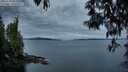 ./images/koeye/fitz-hugh/20250505/fitz-hugh20250505_055509M.jpg