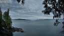 ./images/koeye/fitz-hugh/20250505/fitz-hugh20250505_060011M.jpg