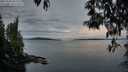 ./images/koeye/fitz-hugh/20250505/fitz-hugh20250505_061508M.jpg