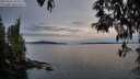 ./images/koeye/fitz-hugh/20250505/fitz-hugh20250505_062510M.jpg