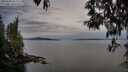 ./images/koeye/fitz-hugh/20250505/fitz-hugh20250505_063510M.jpg