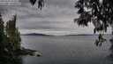 ./images/koeye/fitz-hugh/20250505/fitz-hugh20250505_072510M.jpg