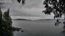 ./images/koeye/fitz-hugh/20250505/fitz-hugh20250505_073011M.jpg