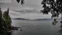 ./images/koeye/fitz-hugh/20250505/fitz-hugh20250505_075010M.jpg