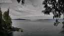./images/koeye/fitz-hugh/20250505/fitz-hugh20250505_075510M.jpg