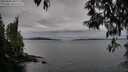 ./images/koeye/fitz-hugh/20250505/fitz-hugh20250505_080510M.jpg