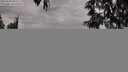 ./images/koeye/fitz-hugh/20250505/fitz-hugh20250505_083510M.jpg