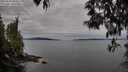 ./images/koeye/fitz-hugh/20250505/fitz-hugh20250505_084010M.jpg