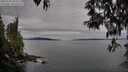 ./images/koeye/fitz-hugh/20250505/fitz-hugh20250505_085011M.jpg