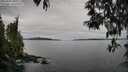 ./images/koeye/fitz-hugh/20250505/fitz-hugh20250505_090510M.jpg