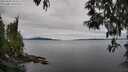 ./images/koeye/fitz-hugh/20250505/fitz-hugh20250505_093510M.jpg