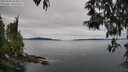 ./images/koeye/fitz-hugh/20250505/fitz-hugh20250505_094009M.jpg