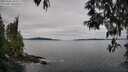 ./images/koeye/fitz-hugh/20250505/fitz-hugh20250505_095011M.jpg