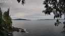 ./images/koeye/fitz-hugh/20250505/fitz-hugh20250505_095510M.jpg