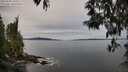 ./images/koeye/fitz-hugh/20250505/fitz-hugh20250505_100510M.jpg