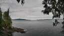 ./images/koeye/fitz-hugh/20250505/fitz-hugh20250505_104010M.jpg