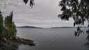 ./images/koeye/fitz-hugh/20250505/fitz-hugh20250505_105009M.jpg