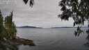 ./images/koeye/fitz-hugh/20250505/fitz-hugh20250505_110509M.jpg