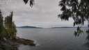 ./images/koeye/fitz-hugh/20250505/fitz-hugh20250505_111009M.jpg