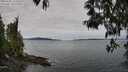 ./images/koeye/fitz-hugh/20250505/fitz-hugh20250505_111508M.jpg