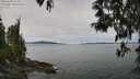 ./images/koeye/fitz-hugh/20250505/fitz-hugh20250505_112510M.jpg