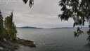 ./images/koeye/fitz-hugh/20250505/fitz-hugh20250505_113510M.jpg