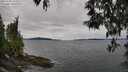 ./images/koeye/fitz-hugh/20250505/fitz-hugh20250505_122510M.jpg