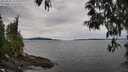 ./images/koeye/fitz-hugh/20250505/fitz-hugh20250505_123508M.jpg