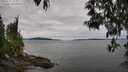 ./images/koeye/fitz-hugh/20250505/fitz-hugh20250505_124511M.jpg