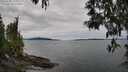 ./images/koeye/fitz-hugh/20250505/fitz-hugh20250505_125010M.jpg
