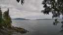 ./images/koeye/fitz-hugh/20250505/fitz-hugh20250505_125507M.jpg