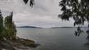 ./images/koeye/fitz-hugh/20250505/fitz-hugh20250505_130010M.jpg