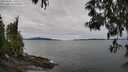./images/koeye/fitz-hugh/20250505/fitz-hugh20250505_130510M.jpg