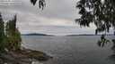 ./images/koeye/fitz-hugh/20250505/fitz-hugh20250505_133508M.jpg