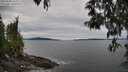 ./images/koeye/fitz-hugh/20250505/fitz-hugh20250505_134510M.jpg