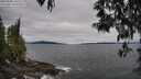 ./images/koeye/fitz-hugh/20250505/fitz-hugh20250505_135510M.jpg