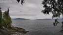 ./images/koeye/fitz-hugh/20250505/fitz-hugh20250505_140011M.jpg